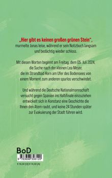 Titel in Rot: „Hier gibt es keinen großen grünen Stein“. Handlung um vermisstes Kind am Bodensee und eine mysteriöse Geschichte.