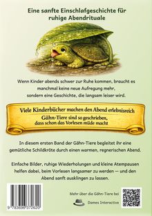 Eine Cover-Beschreibung: Eine Schildkröte unter einem Blatt, das als Regenschirm dient, mit einer beruhigenden Geschichte zum Einschlafen.
