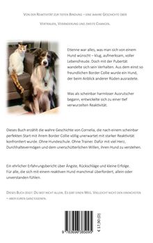 Titel: "Von der Reaktivität zur tiefen Bindung". Bild: Ein Border Collie sitzt auf einem Sofa neben einer Katze.