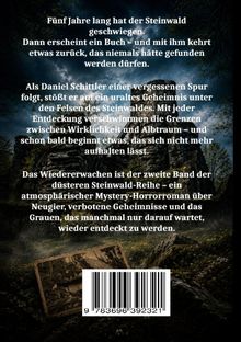 Text beschreibt ein mysteriöses Geheimnis im Steinwald. Darunter eine düstere Landschaft mit Felsen und einem Baum.