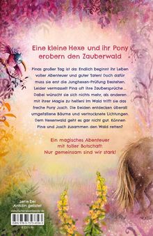 Marlene Jablonski: Pina Ponyhexe - Eine magische Freundschaft, Buch