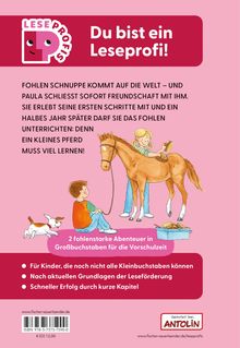 Oben links "LESEPROFI" Logo, daneben: "Du bist ein Leseprofi!" Illustration: Kind bürstet Fohlen, Junge sitzt daneben.