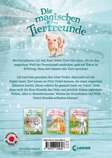 Daisy Meadows: Die magischen Tierfreunde 14 - Fritzi Ferkel und der verlorene Edelstein, Buch