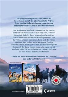Sabine Giebken: Wildpferde - mutig und frei (Band 3) - Flucht in die Berge, Buch