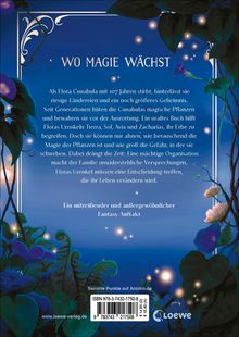 Vanessa Walder: Flora Magica (Band 1) - Das Geheimnis der Nachtschatten, Buch