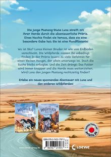 Sabine Giebken: Wildpferde - mutig und frei (Band 4) - Der verschwundene Mustang, Buch