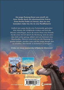 Sabine Giebken: Wildpferde - mutig und frei (Band 5) - Rauch über der Prärie, Buch