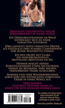 Holly Rose: WaldSauereien | Erotische Geschichten, Buch