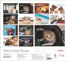 Mehrere Katzenfotos mit lustigen Sprüchen wie "Ich fühle mich krank, ich glaube, ich habe Montag."