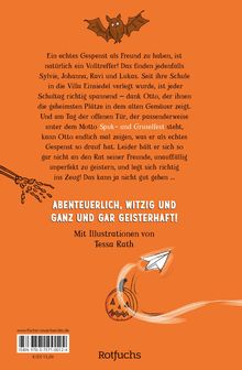 Susan Niessen: In unserer Schule spukt's - Die Kürbisverschwörung, Buch