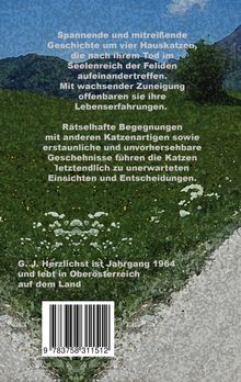 G. J. Herzlichst: Wo alle Katzen hingehen, Buch