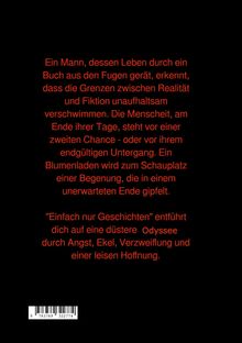 Daniel Bissdorf: Einfach nur Geschichten ???, Buch