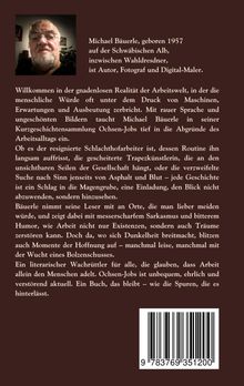 Michael Bäuerle: Ochsen-Jobs, Buch