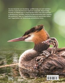 Text beschreibt die Vielfalt der Vogelwelt. Darunter schwimmt ein Haubentaucher mit Jungen auf einem ruhigen Gewässer.