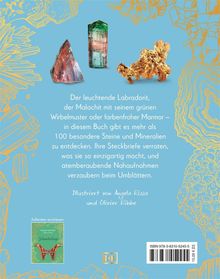 Ein Text beschreibt leuchtende Steine wie Labradorit. Unten links ein Buchcover mit Schmetterlingen. Oben Steine und Mineralien.
