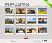 „Elefanten“ und „Elephants“ als Überschrift. Zwölf Bilder von Afrikanischen Elefanten in verschiedenen Szenen. Jahr „2027“.