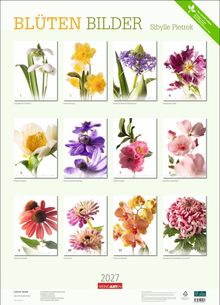 "BLÜTEN BILDER" von Sibylle Pietrek. Zwölf bunte Blumenfotos: Schneeglöckchen, Narzisse, Blüten, Papageientulpe, Rose.