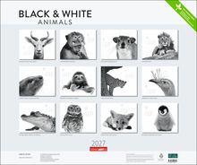 "BLACK & WHITE ANIMALS" oben. Darunter Tierzeichnungen: Bongo, Makak, Rotschulter-Rüsselhündchen, Löwe, usw. Unten: "2027" und "WEINGARTEN".