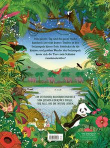 Jessica Courtney-Tickle: Wunderwelt Dschungel, Buch