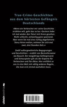 Joe Bausch: Gangsterblues, Buch