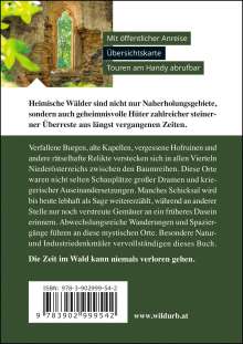 August Dunkelstein: VERBORGEN. Geheimnisvolle Orte in Wäldern., Buch