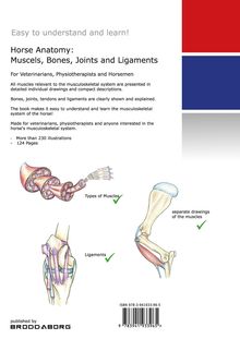 Titel: Horse Anatomy: Muscles, Bones, Joints and Ligaments. Illustrationen von Muskeln und Gelenken.