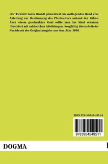 Rückansicht vergrößern