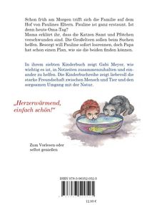 Text: Pauline sucht Katzen. Gabi Meyers Kinderbuch über Freundschaft und Natur. „Herzerwärmend, einfach schön!“ Illustration: Zwei Katzen betrachten einen Fisch in einer Schüssel. ISBN und Preis unten.