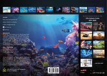 Sealife - verborgene Tiefen - 2025 - Kalender DIN A3, Kalender