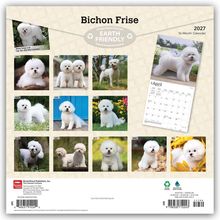 "Bichon Frise 2027 Earth Friendly Kalender" zeigt zwölf Bilder von Bichon Frise-Hunden in verschiedenen Umgebungen.