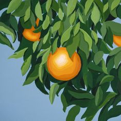 Ich kann den Text nicht erkennen. Es ist eine Illustration von orangefarbenen Früchten und grünen Blättern vor blauem Hintergrund.