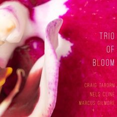 Trio Of Bloom: Trio of Bloom, CD