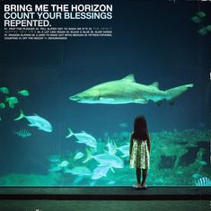 Text: "BRING ME THE HORIZON COUNT YOUR BLESSINGS REPENTED." CD und Cover zeigen ein Aquarium mit einem Hai und einem Kind.