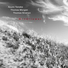 Text: "Ayumi Tanaka, Thomas Morgan, Thomas Strønen, Windflower". Schwarz-Weiß-Foto von Gras und Wolken.