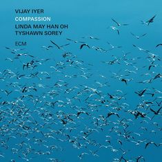 Vijay Iyer (geb. 1971): Compassion, CD