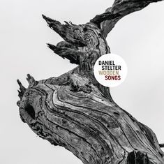 „DANIEL STELTER WOODEN SONGS“ steht auf einem Kreis. Darunter verläuft ein knorriger, verwitterter Holzstamm diagonal.