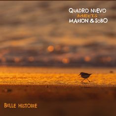 Text oben: "QUADRO NUEVO MEETS MARION & SOBO". Unten: "BELLE HISTOIRE". Ein kleiner Vogel läuft am Strand bei Sonnenuntergang.