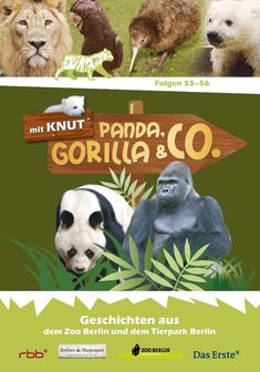 Panda, Gorilla & Co. Vol.6 (Folgen 53-56), DVD