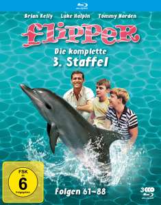 Hollingsworth Morse: Flipper Staffel 3 (Blu-ray), BR