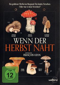 Ein goldener Herbst im Burgund. Ein fatales Versehen. "WENN DER HERBST NAHT", ein Film von François Ozon. Illustrationen von Pilzen.