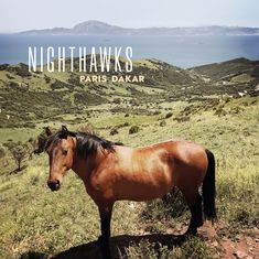 Nighthawks (Dal Martino / Reiner Winterschladen): Paris-Dakar, CD