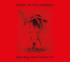 Fields Of The Nephilim: Burning The Fields / Returning To Gehenna, CD