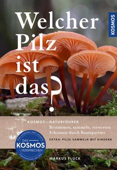 Markus Flück: Welcher Pilz ist das?, Buch