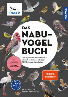 Peter Mullen: Das NABU-Vogelbuch, Buch