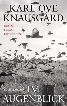 "Karl Ove Knausgård: REISEN. ESSAYS. REPORTAGEN. LUCHTERHAND IM AUGENBLICK. Schwarm Vögel über Feldlandschaft."