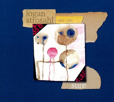 Logan Strosahl: Sure, CD