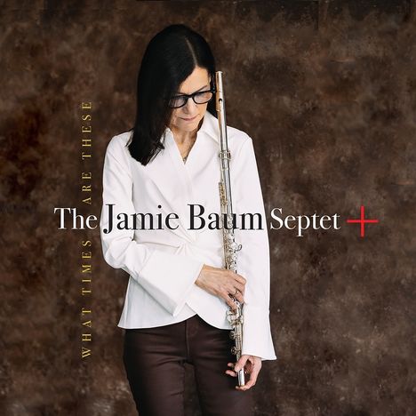 Jamie Baum: What Times Are These, CD