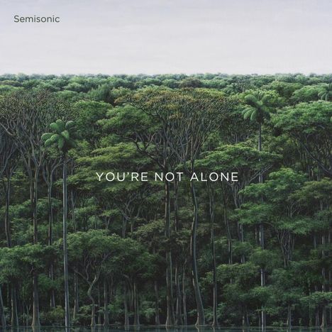 Semisonic: You're Not Alone, CD