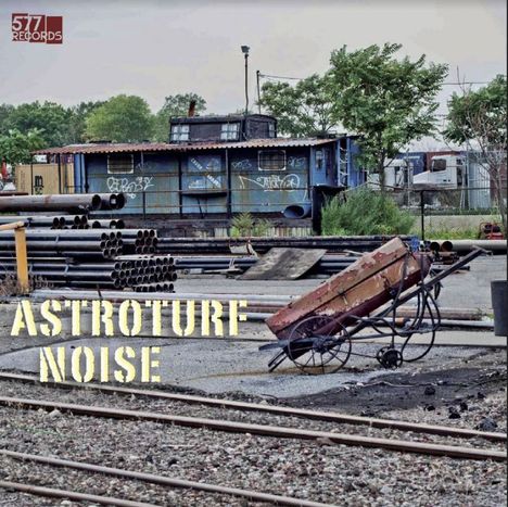 Astroturf Noise: Astroturf Noise, LP