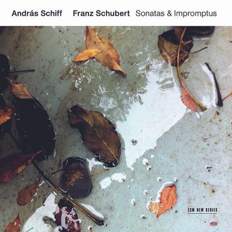 Franz Schubert (1797-1828): Klaviersonaten D.958 &amp; D.959, 2 CDs